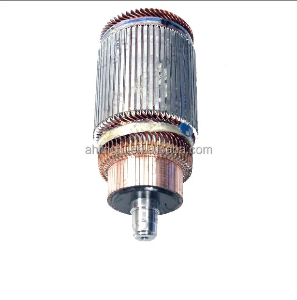 2025 عربة جولف للسيارة الكهربائية Go Kart Motor Armature 10kw 12kw 15kw