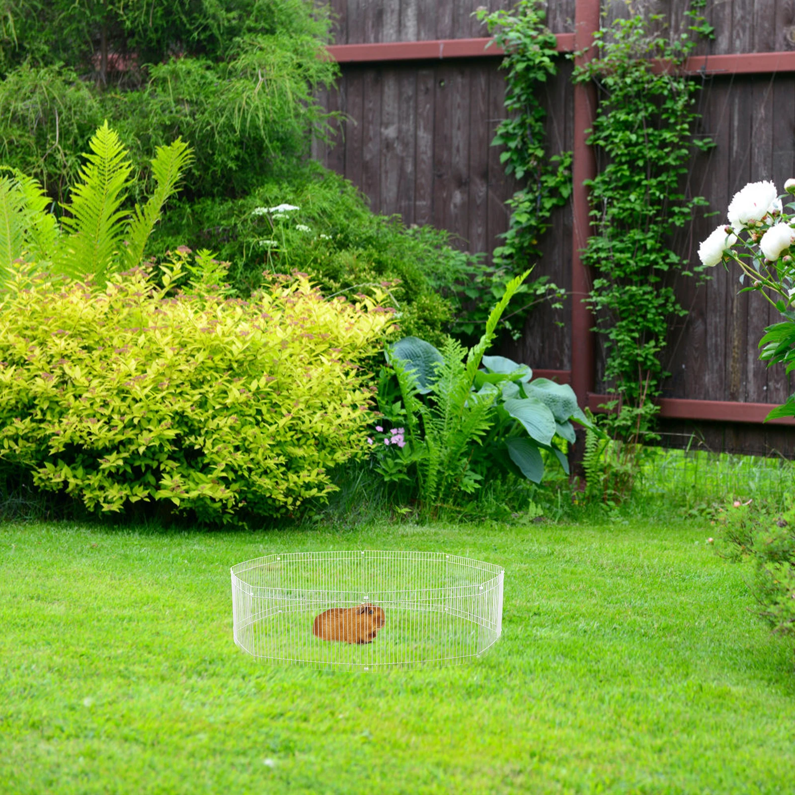 1 set 1 set kleine huisdier box hamsters kooi behuizing duurzaam metalen hek opvouwbare afneembare cavia konijntje isolatiepoort