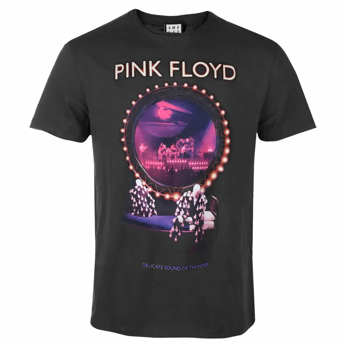 PINK FLOYD - DELICATE THUNDER Inspiration Print T-Shirt - Classic Rock Band - Casual Daily Cotton T-Shirt for Men and Women