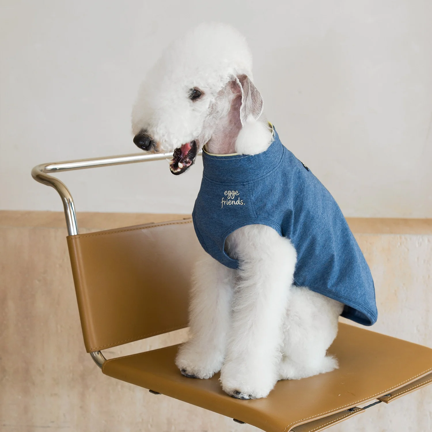 

Summer Cool-feel Antibacterial Embroidered Cotton Vest for Italian Greyhound Spring Blue Green T-shirt for Bedlington Terrier