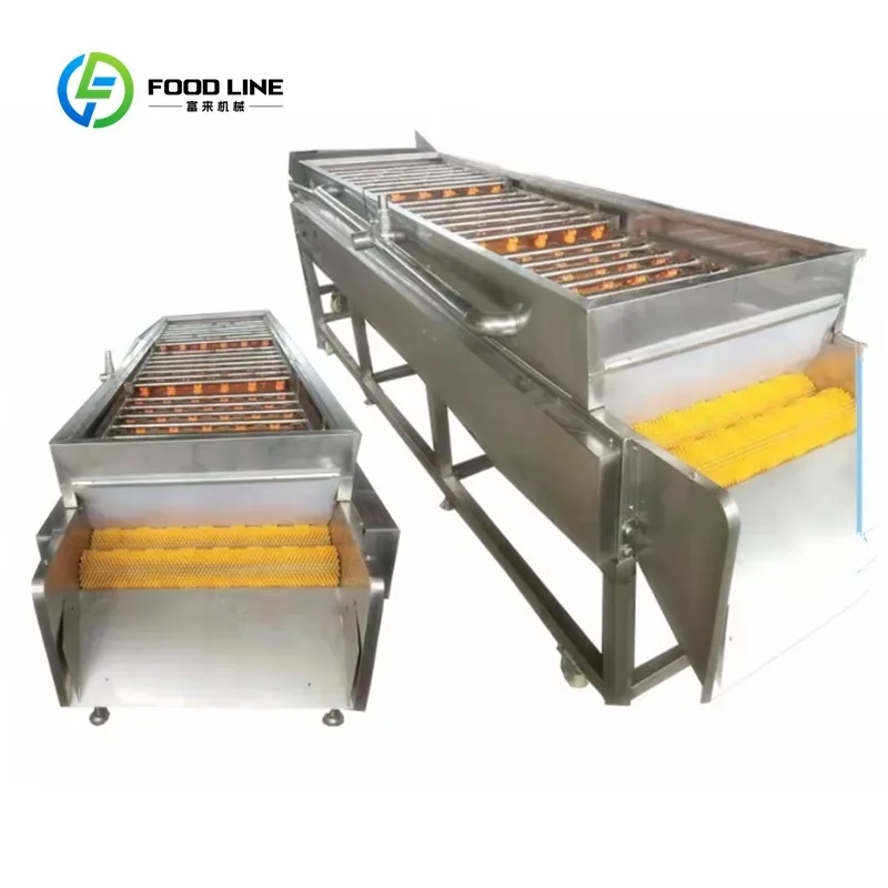 Customized Parallel Vegetable Fruit Wool Roller Cleaning Machine Vegetable Automatic Wool Roller Cleaning Machine Cherry