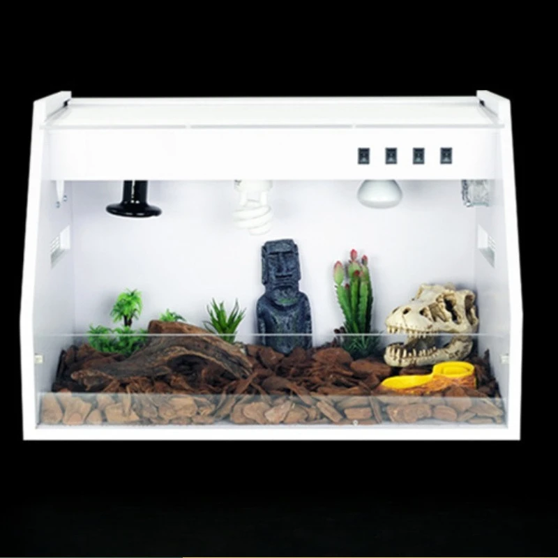 Climbing Tortoise Climbing pet  Reptile lizard hedgehog guardian snake blue tongue feeding turtle  incubator