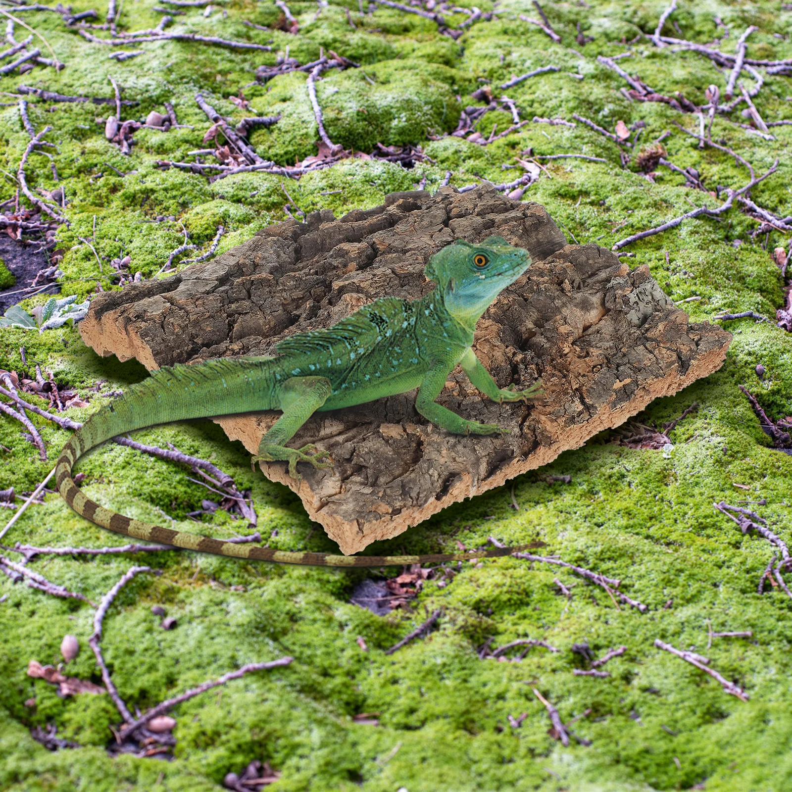 

4 Pcs Fish Tank Decoration Reptile Enclosure Cork Background Decors Terrarium Aquarium Decorative Tree Bark Realistic Safe Easy