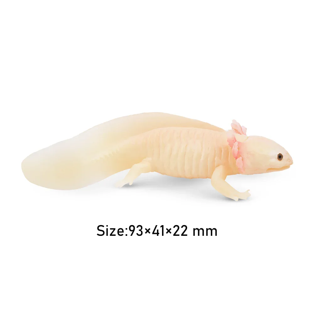 Toymany 시뮬레이션 악솔로틀 도롱뇽 파충류 동물 모델 장난감, 미니 피규어 인형, 액션 피규어 장난감, 어린이 선물
