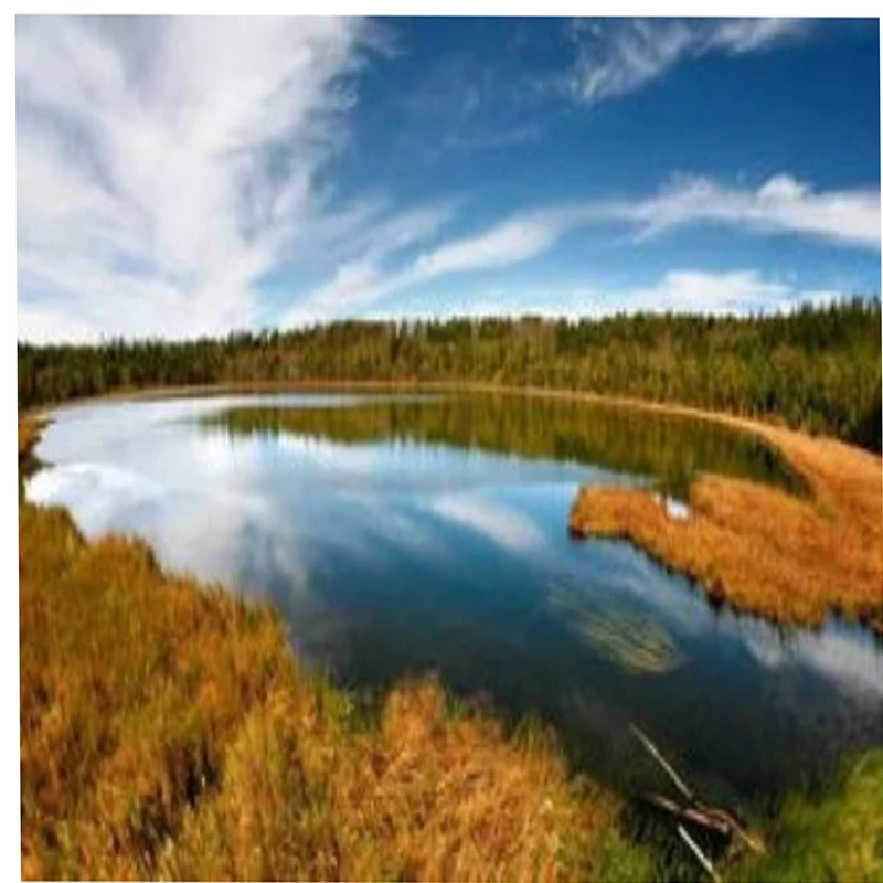 

EMAX GT2815 1100KV/1500KV Brushless Motor 2-3S GT Series 5mm Shaft For RC FPV Drone