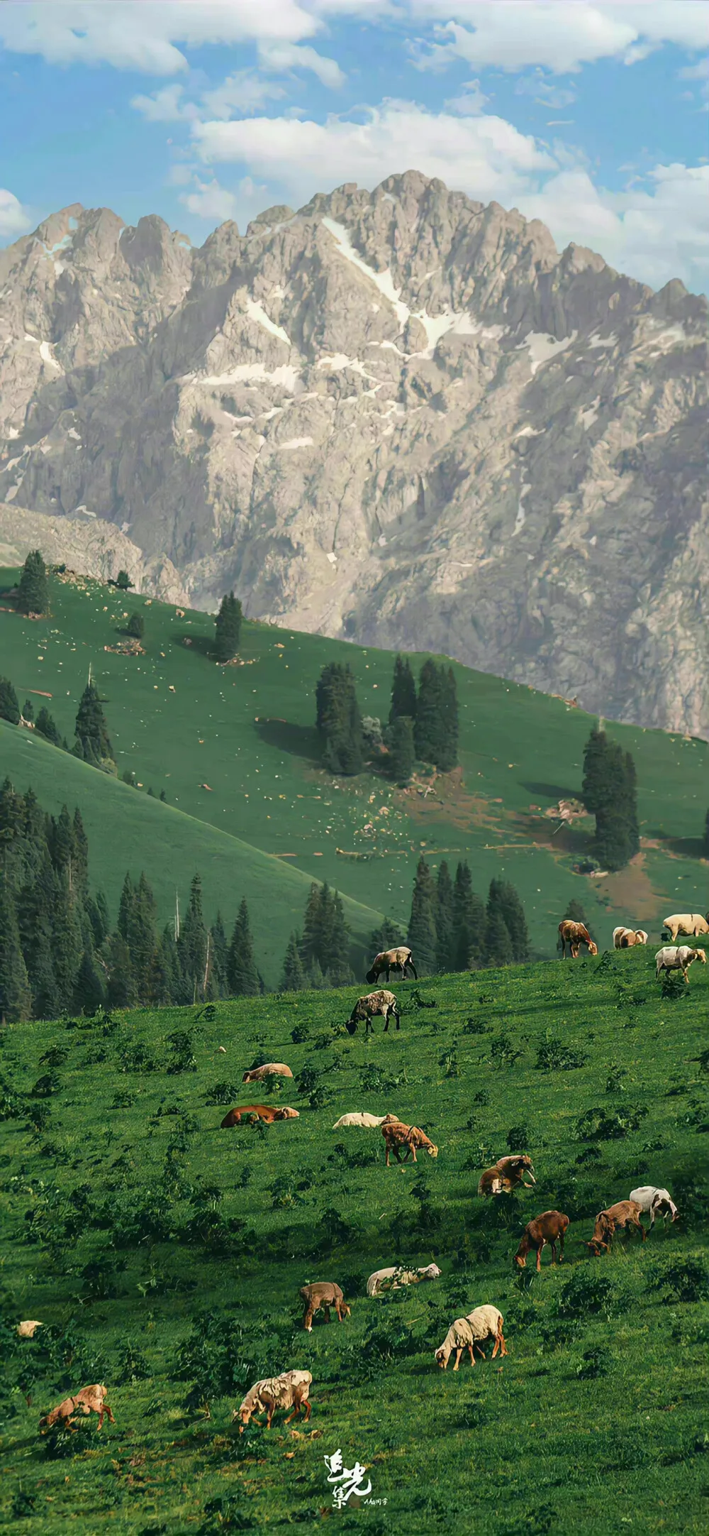 

Шины Whirlwind 63 мм для радиоуправляемых машин MJX Hyper Go 14301, 14302, 14303, 14304