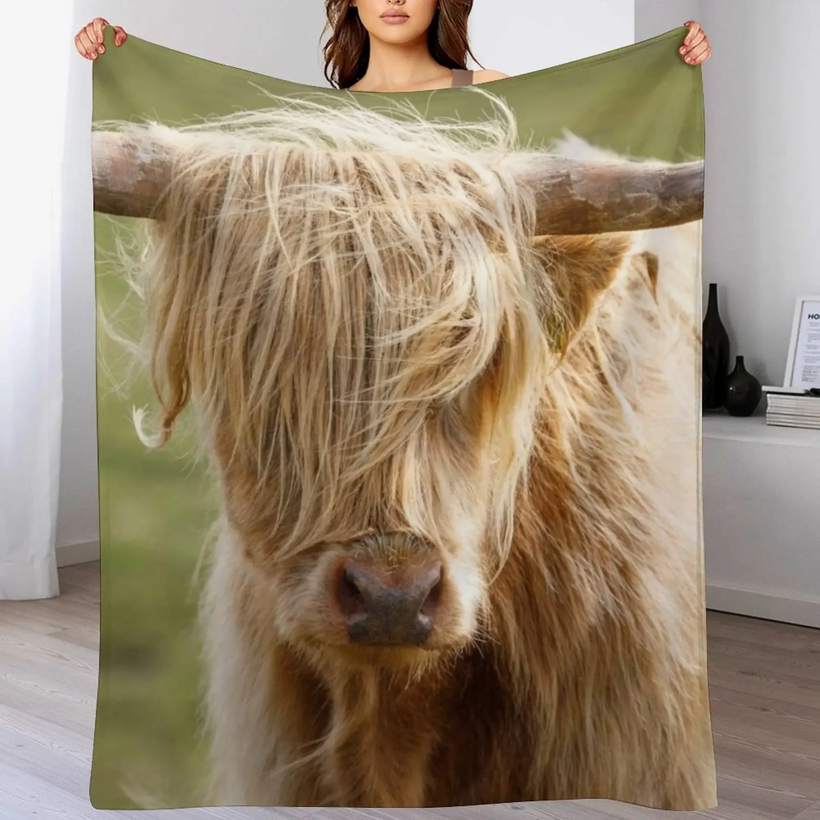 

Scottish Highland Cow Throw Blanket Blankets Sofas Of Decoration Luxury Thicken Decorative Throw Blankets For Baby Blankets