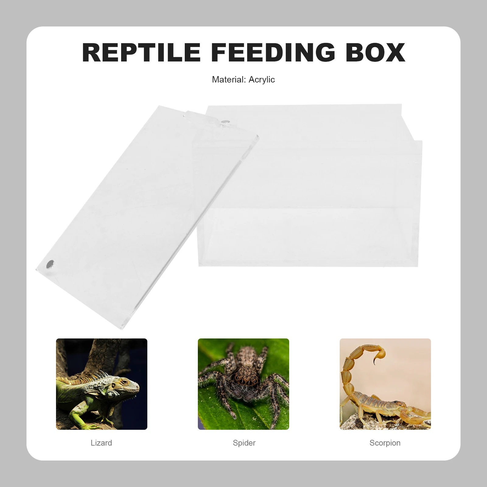 

Acrylic Reptile Box Large Space Easy Feeding Transparent Tank Safe Design Anti Leak Container for Turtle Spiders Snakes