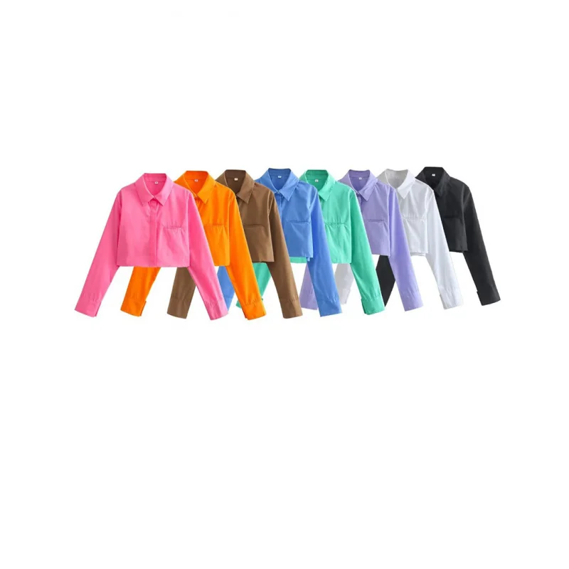 

2025 hot winter new women's fashion Fengfu silk short collar long sleeve shirt
