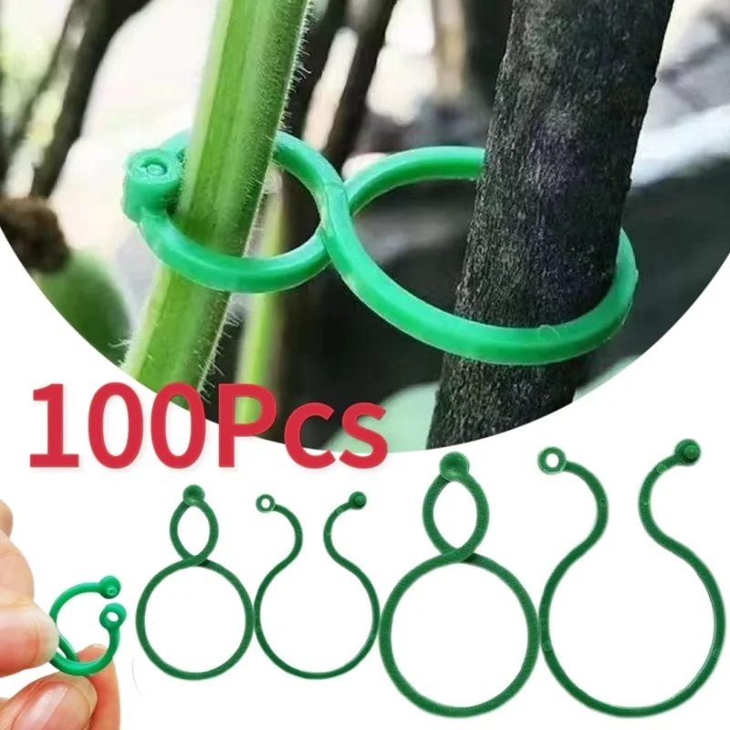 50/100Pcs Buckle Vine Tying Clips Ring Fixing Bracket Garden Plant Holder Tools Garden Decorations Plant Climbing Wall Clips