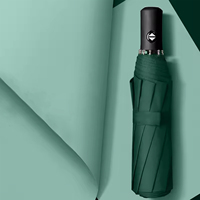 Auto Open Close Umbrella, Large UV Protective & Portable Travel Umbrella, Windproof for Outdoor Activities