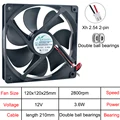 DC12V Double ball