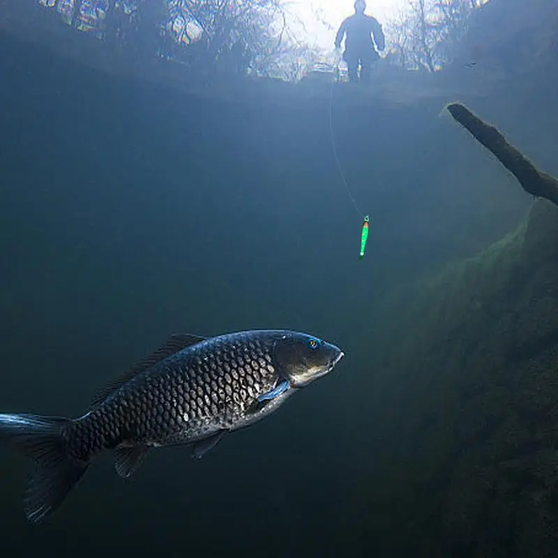 

Artificial Fishing Lures Luminous Artificial Cuttlefish Bait Portable Fishing Equipment Realistic Cuttlefish Lure For Father Son
