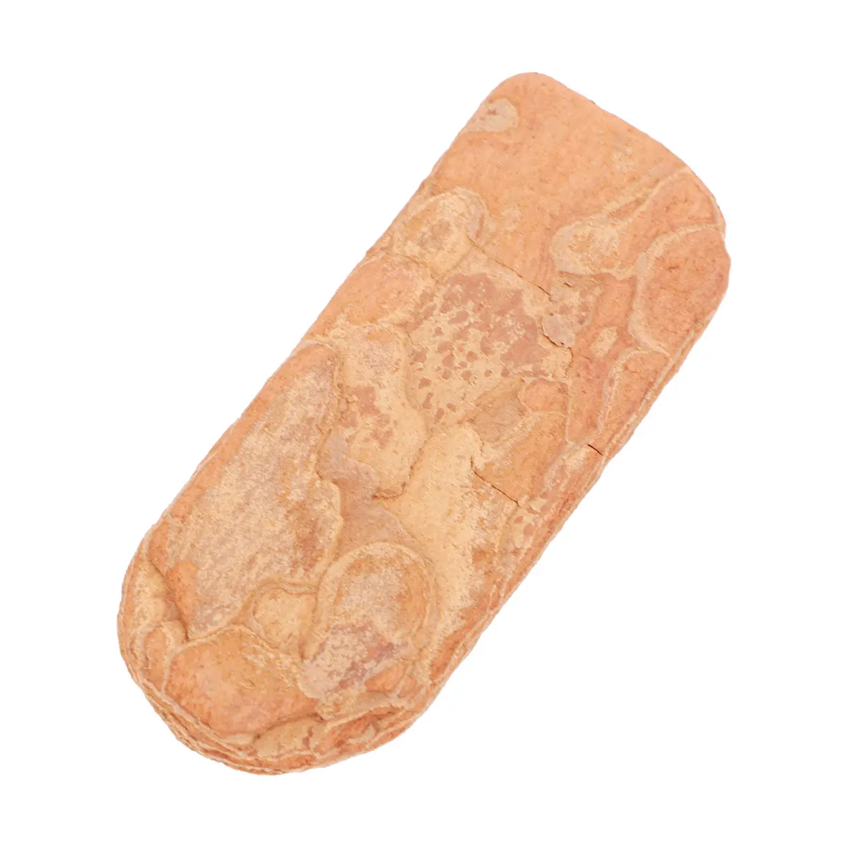 

1Pack Reptile Mat Crawler Box Decoration High-Quality Wood Material for Zoo Tanks and Pet Habitats Bark Pad Lizard Mat