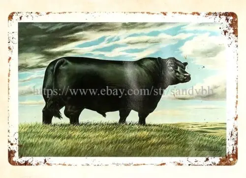 Aberdeen Angus Bull granja animal rancho cabaña decoración de la casa letrero de chapa de metal