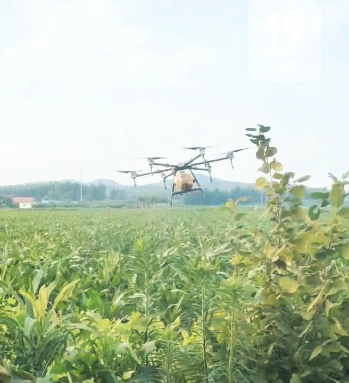 Agri drones de agricultura, rociador de semillas, fertilizante, rociador para fumigación