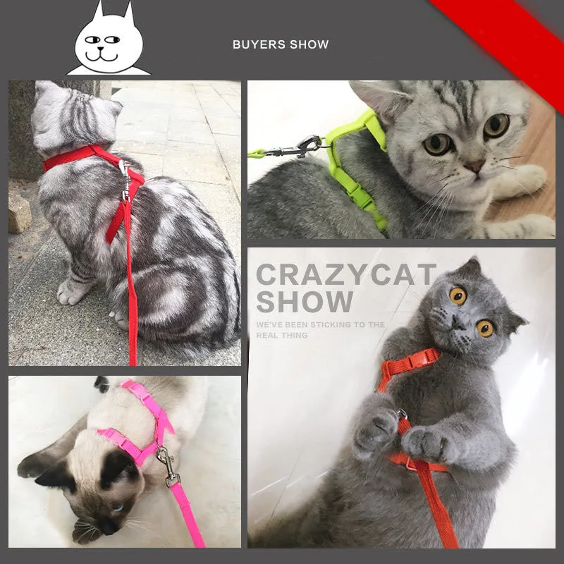 Collare per imbracatura per gatti coniglio con Set di guinzagli a forma di H Choke Puppy Kitten Harness per collare con cinturino per cani di piccola taglia a prova di fuga per animali domestici