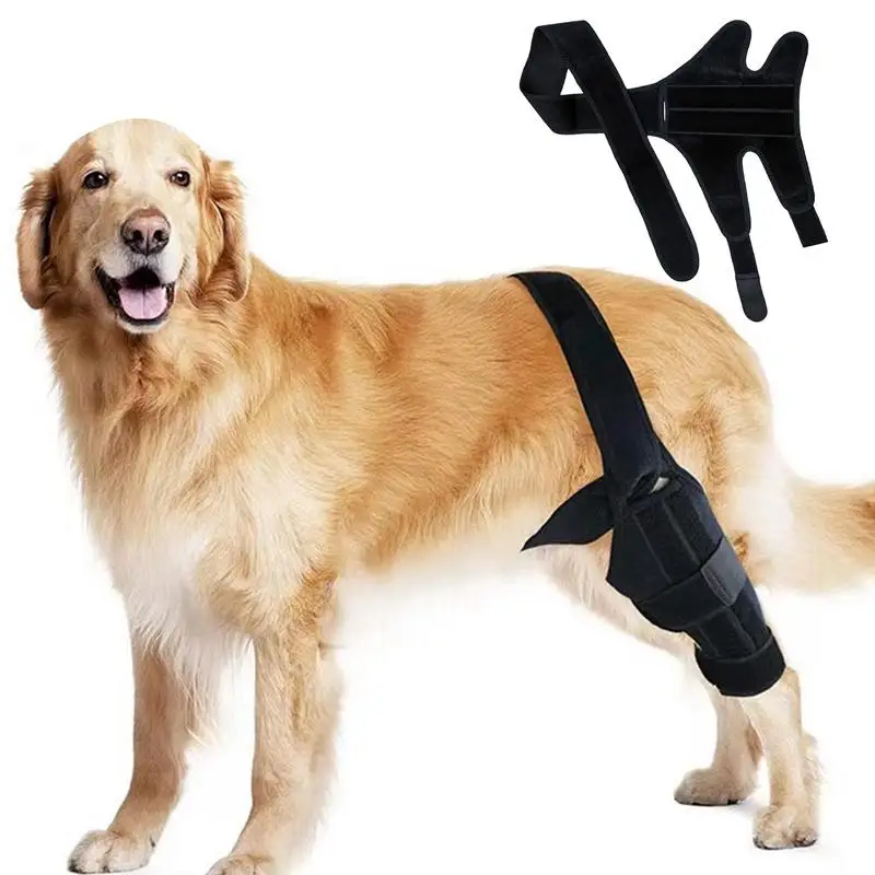 

Dog Back Leg Brace Pet Knee Brace Injury Recover Hock Joint Wrap Breathable Dog Legs Protector For Small Medium Dog Supplies