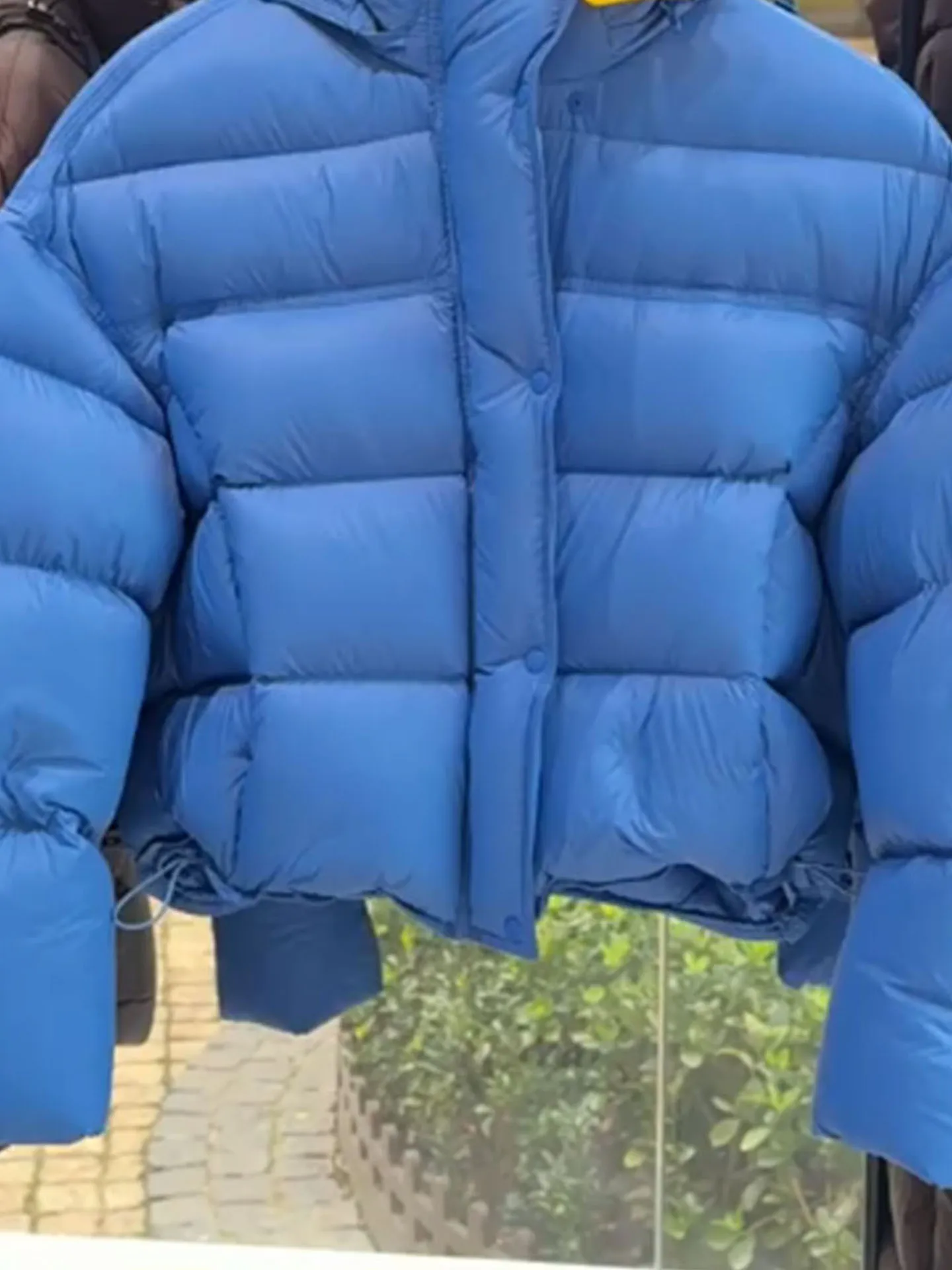 Jaet con capucha acolchada de ort azul para mujer, abrigo de invierno con pan cálido, talla pequeña, patrón de tortuga ell Ba