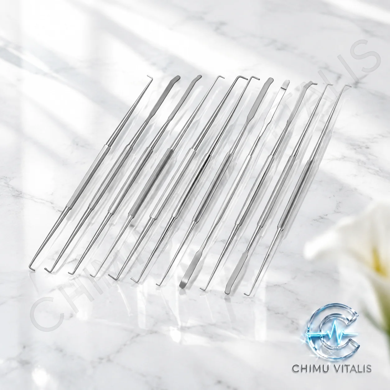 【CHIMU VITALIS 】 Stainless Steel Nerve Stripper Retractor Instrument for Precise Tissue Dissection