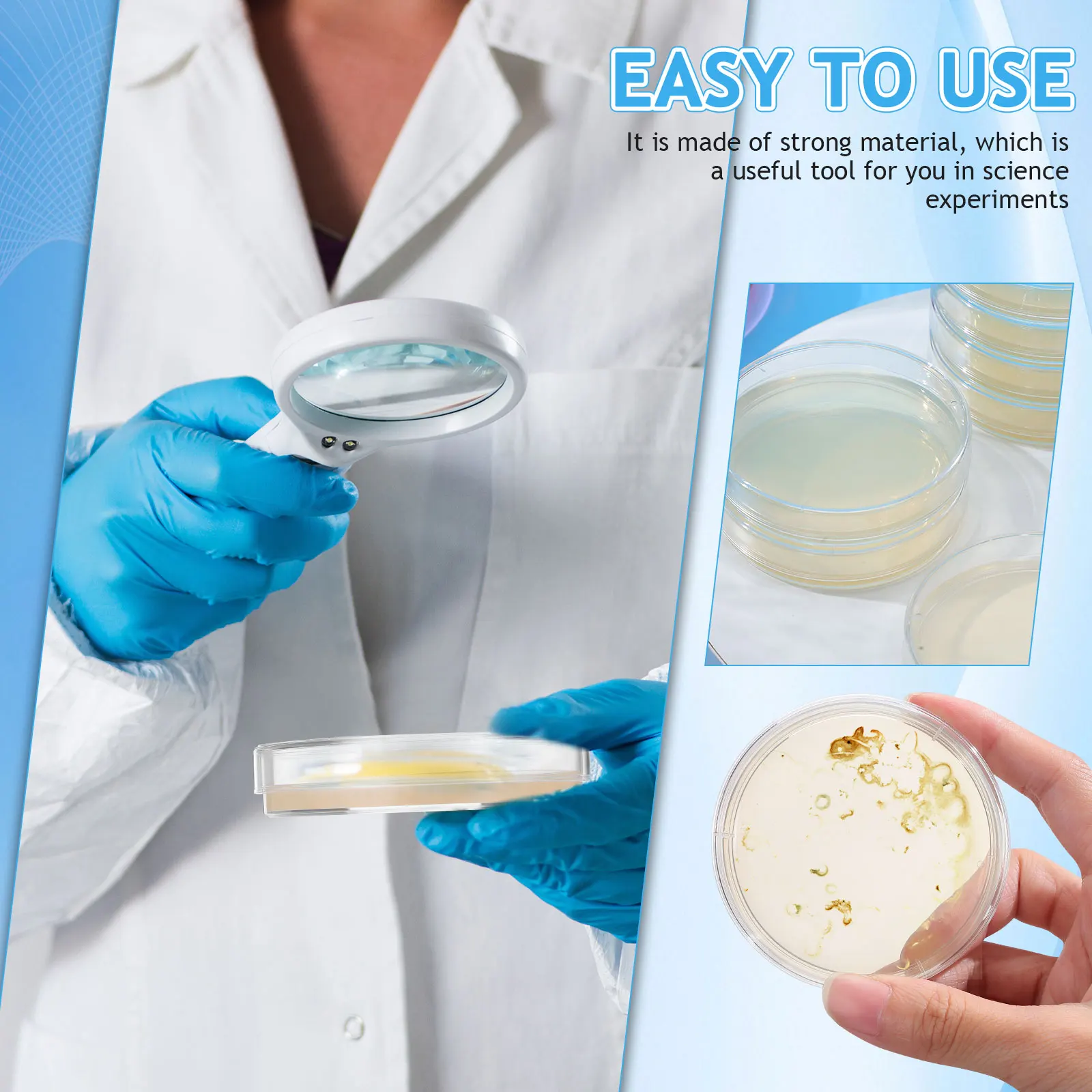 10 قطعة لوحة أجار مسبقة الصنع لوحة أجار مغذيات استخدام فحص العصر 7 سنتيمتر أطباق بتري مسبقة الصنع مع لوازم مختبر تجربة العلوم أجار