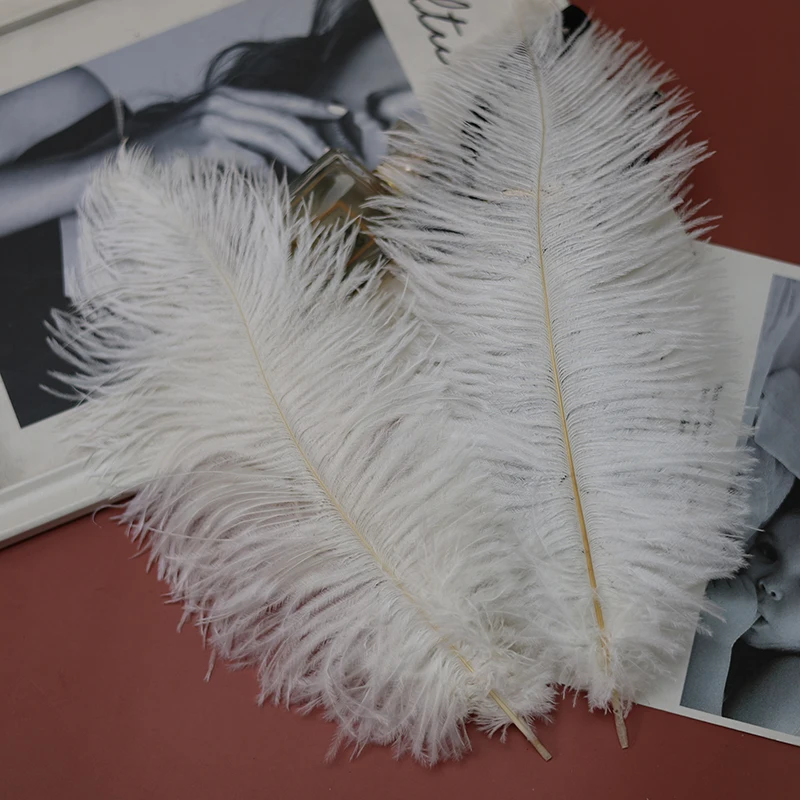 10pcs/Lot Natural White Ostrich Feathers Wedding Party Decoration DIY Crafts Accessories Plumes Table Centerpiece