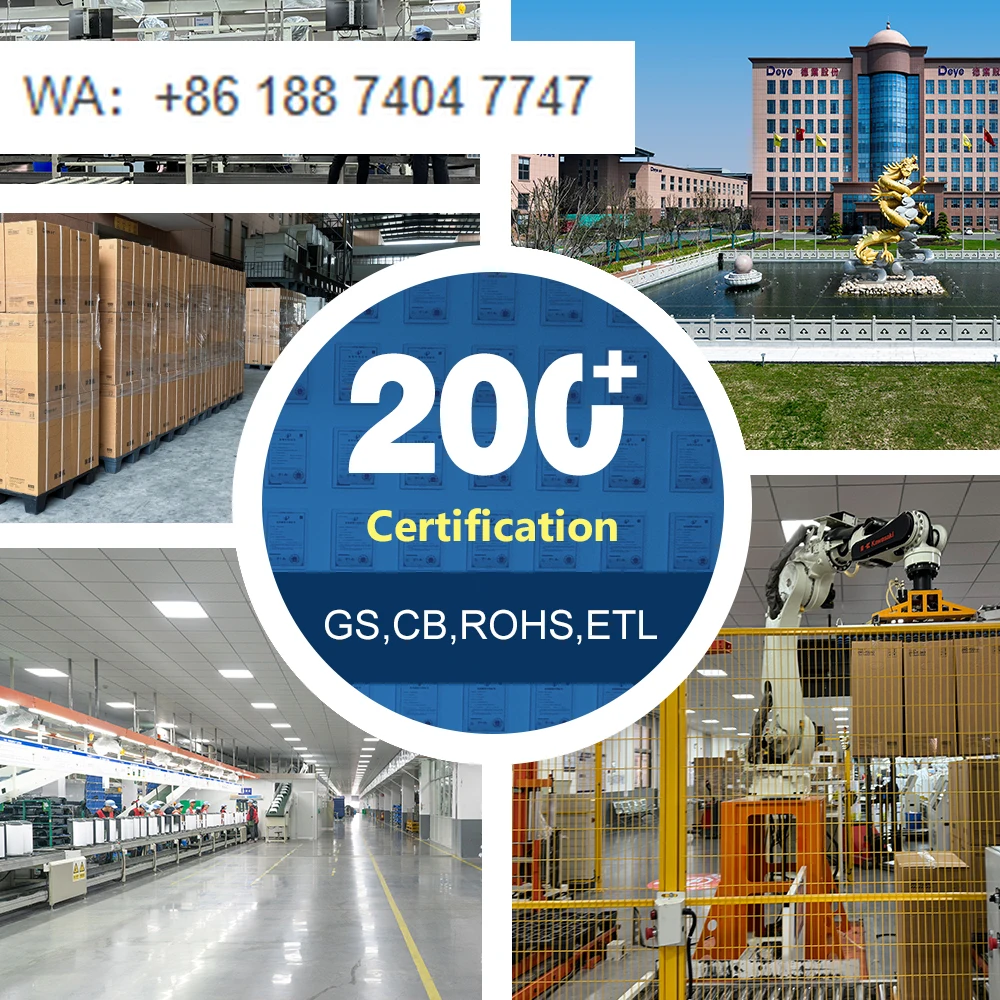 Deye DY-6260AW 260L…