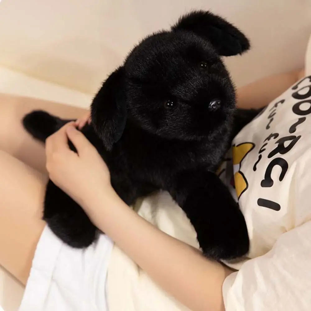 Comfort Plush Toys Cartoon Labrador Dog Plush Toy Soft PP Cotton Animals Puppy Doll 30cm Cute Animal Plush Pillow Boys Girls