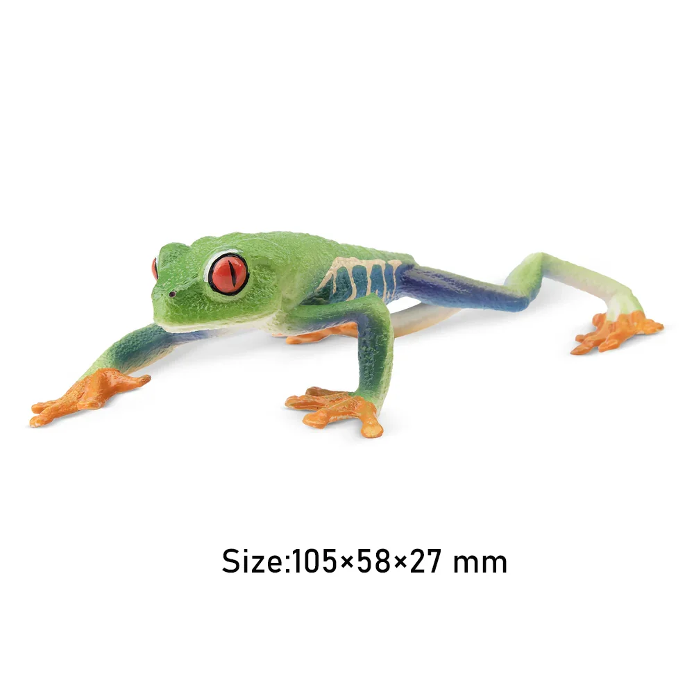 Toymany Simulation Red-eyed Tree Frog Reptile Realm Animal Model Toy Mini Figures Dolls Action Figurines Toys Children Gift