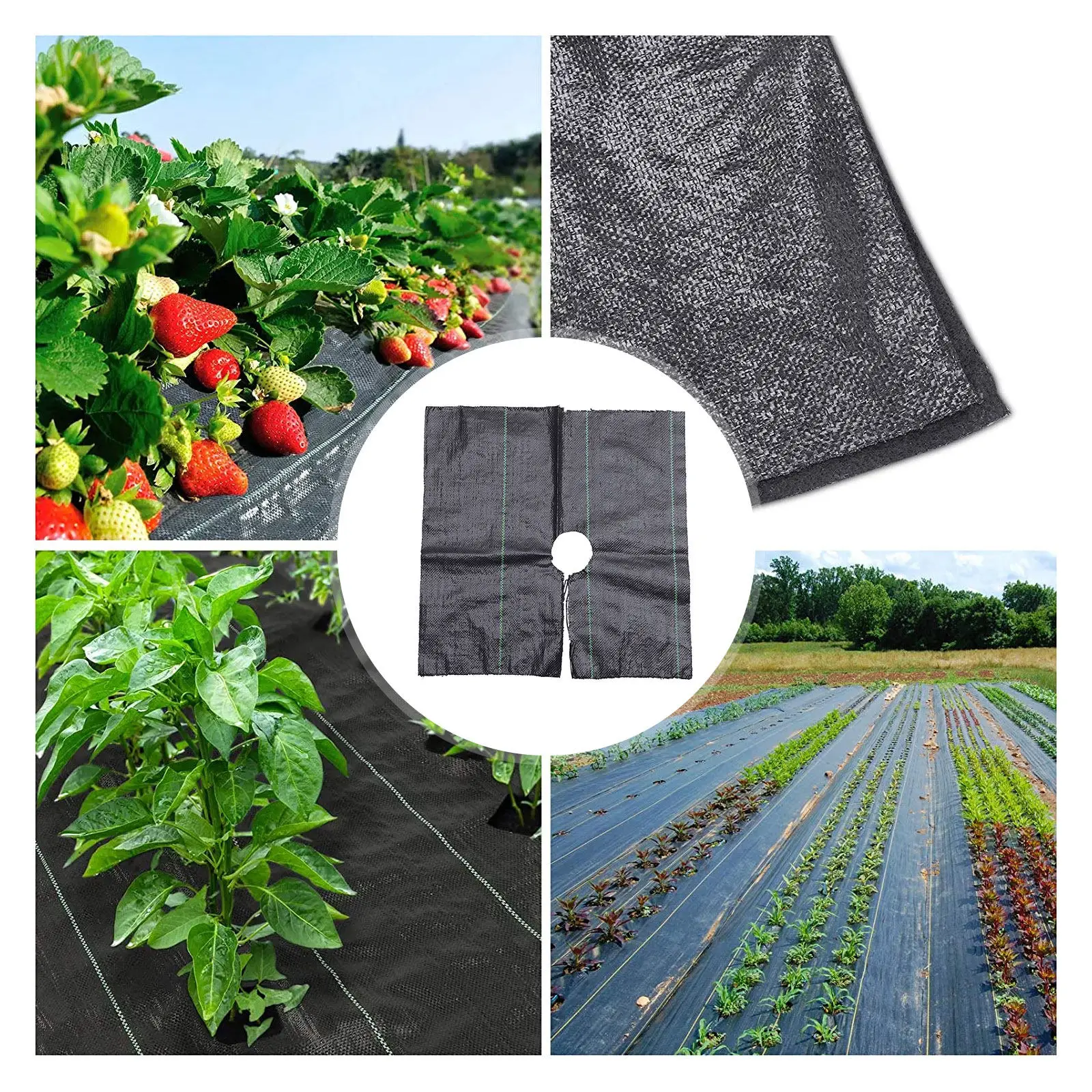 

12 Sheets Black PP Anti-Weeding Cloth Heavy-Duty Woven Mesh Design for Healthy Crop Growth Permeable Gardening Control
