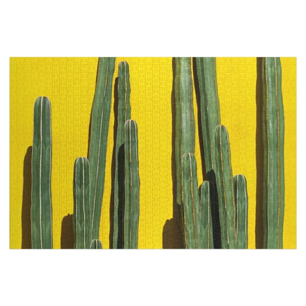 

CACTUS - PLANTS - CACTUS LOVER - POSTER Jigsaw Puzzle Toddler Toys Wooden Jigsaws For Adults Puzzle