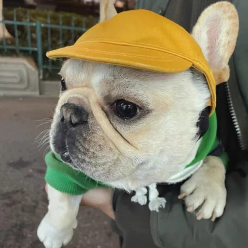 Dog accessories Dog Hat Baseball Cap Teddy/French Bulldog Corgi Helmet Golden Retriever Sun Protection Peaked Cap  Couple Hat