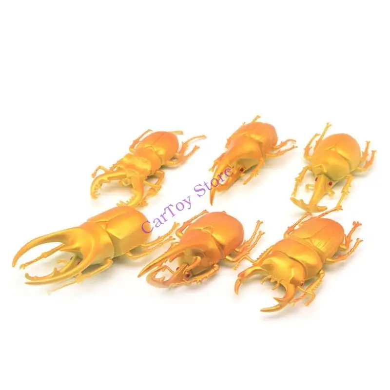 Giocattolo educativo del modello insetto simulazione 18pcs per l'apprendimento della biologia della natura dei bambini