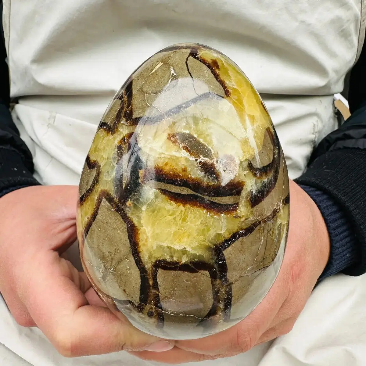 

Natural Dragon Septarian Quartz Crystal Egg Healing Geodetic Survey Mineral Specimen