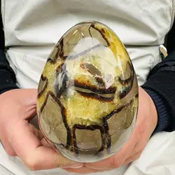 Natural Dragon Septarian Quartz Crystal Egg Healing Geodetic Survey Mineral Specimen