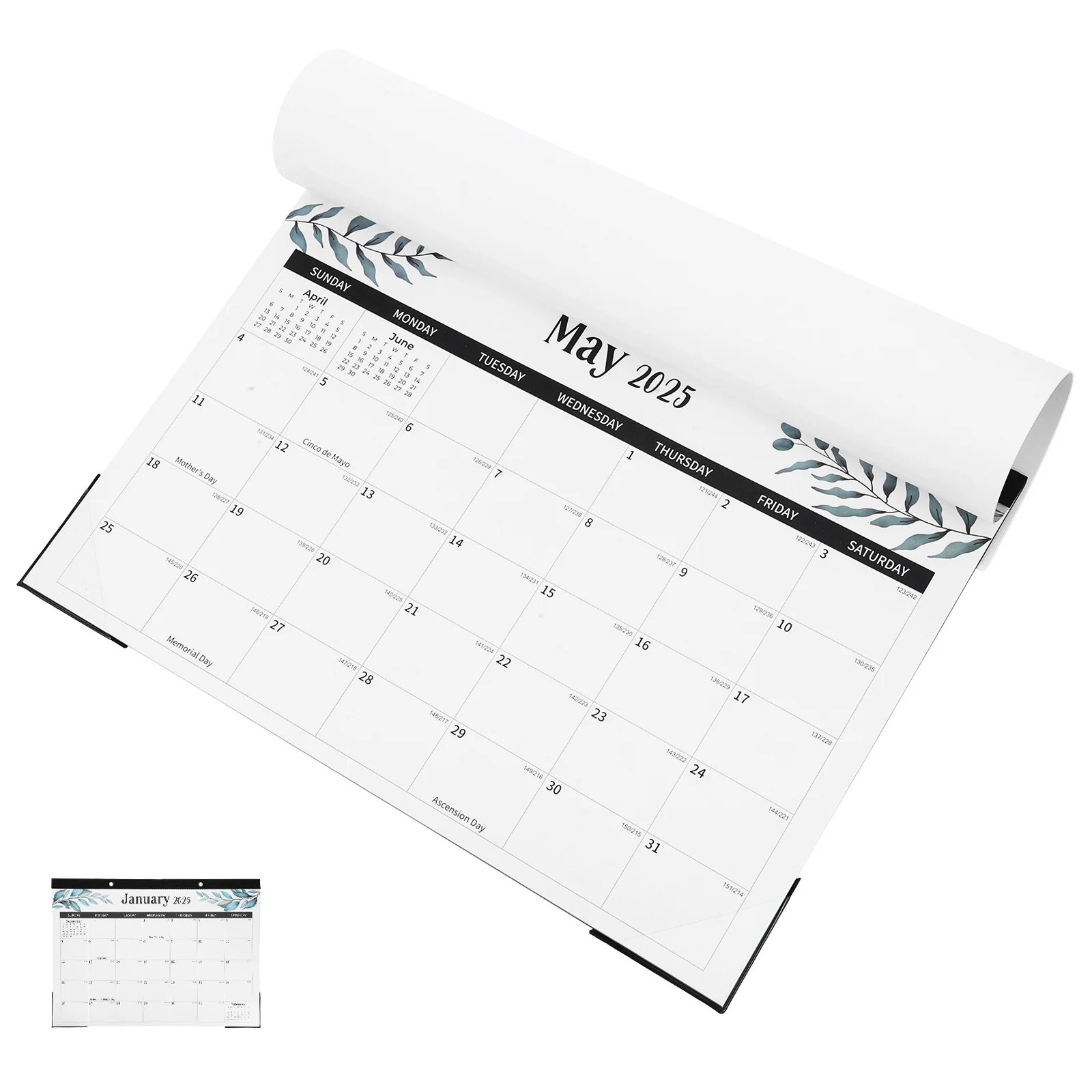 

18-Month Wall Calendar Jan 2025 To June 2026 Hanging Tear-Off Planner Space-Saving Pvc Cover Ink-Resistant Pages For