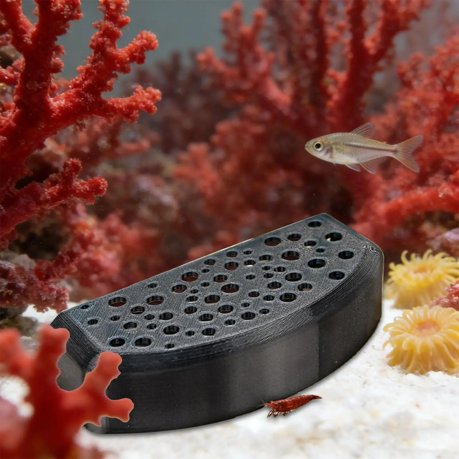 Shrimp Cave Porous Breeding Rest Shrimp Shelter for Home Aquarium Tank Freshwater Saltwater Enclosure Habitat Terrarium