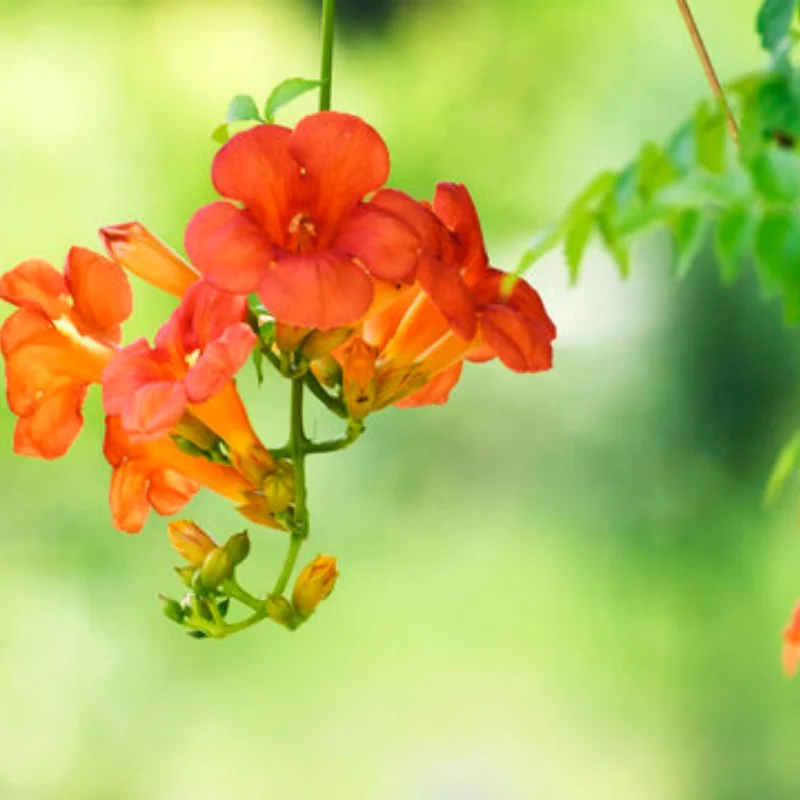 

Metal Wheel Rims Tires Rally Wheels For MJX 16207 08-09-10 14210 WLtoys 1/16 A959 144001 10 1/12 124017-16-18-19 MN128 86s G500