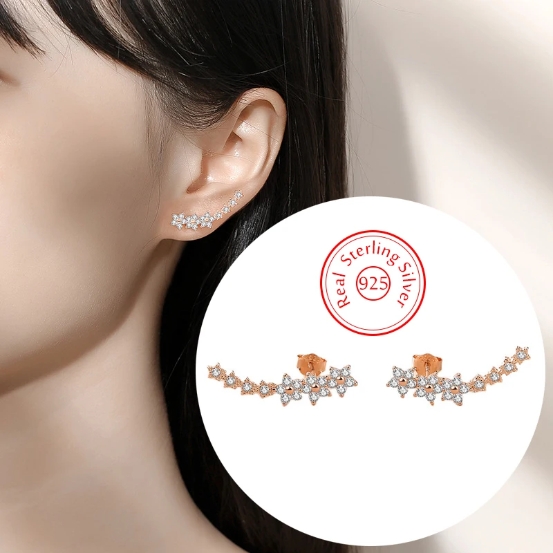 New Jewelry 925 Sterling Silver Crystal Zircon Stud Earrigns For Woman Fashion XY0568