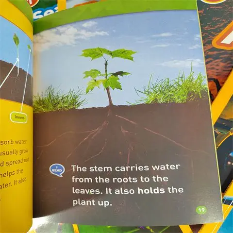 American Geographical Classification Reading Materials Children's Encyclopedia (English Version) L1 - 25 volumes in total