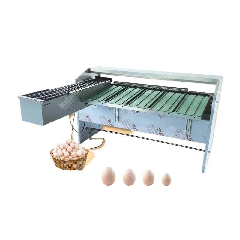 Automatic Egg Grading Machine: How I Solved My Poultry Farm's Sorting Nightmare
