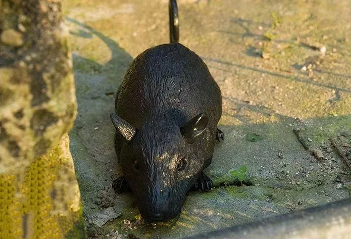 New Unique Remote Control Mouse Infrared Creative Simulation Animal Infrared Electric Pet Toy Birthday Gift