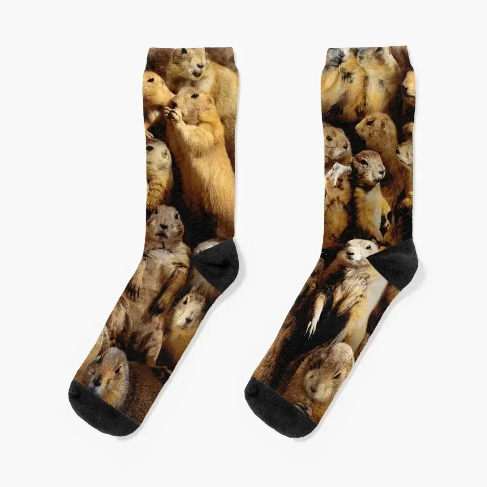 

Prairie Dogs Socks fashionable hiking halloween Climbing Women's Socks Men's Non-slip hiking colored Luxury Woman Socks Men's
