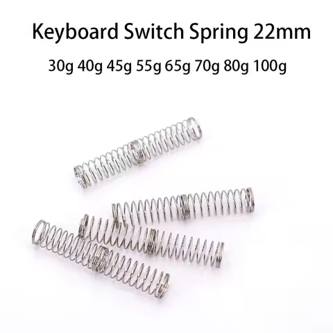 22mm Mechanical Keyboard Switch Spring Two-Stage Gamer Custom Gateron Cherry Mx Switch Spring 30 40 45 50 65 70 80 100g Force