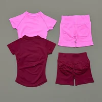 2 Pieces Sports Gym Sets Women Seamless Knitted Yoga Short Sleeve Top Fitness Set Workout Running Sports Short Leggings Suit - Image 2
