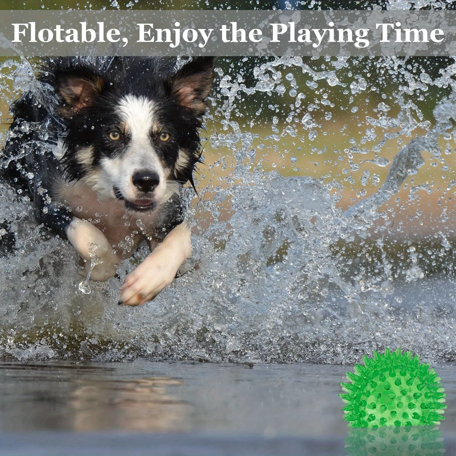 Thumbnail 3 - #32 Best Rated Squeaky Dog Toys to Buy in 2026