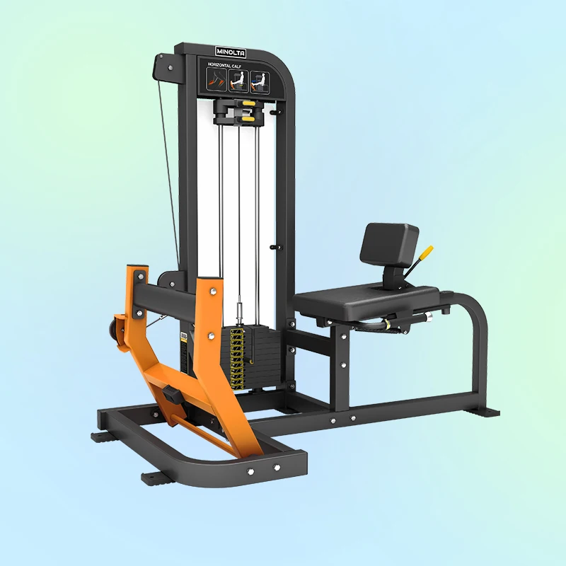 Pin Loaded -FM19 Exercise Sports Weight Commercial Gym Fitness Equipment Machine Calf Machine Minolta Fitness