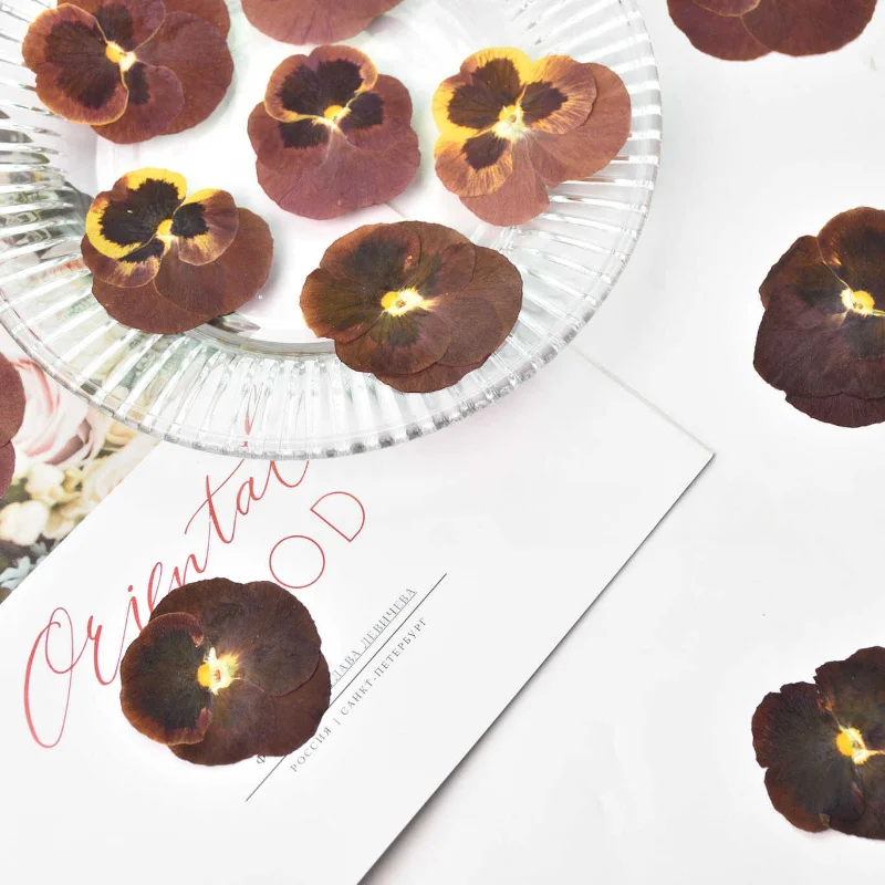 12 قطعة/4-6 سنتيمتر ، خمر بانسي ضغط بتلات بالتنقيط الغراء زهرة جافة إطار صور ذاتي الصنع المرجعية مهرجان بطاقة هدية زهرة الديكور