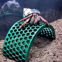 Hermit crab climbing bridge, hermit crab toy bridge, hermit crab hanging decoration, hermit crab decoration