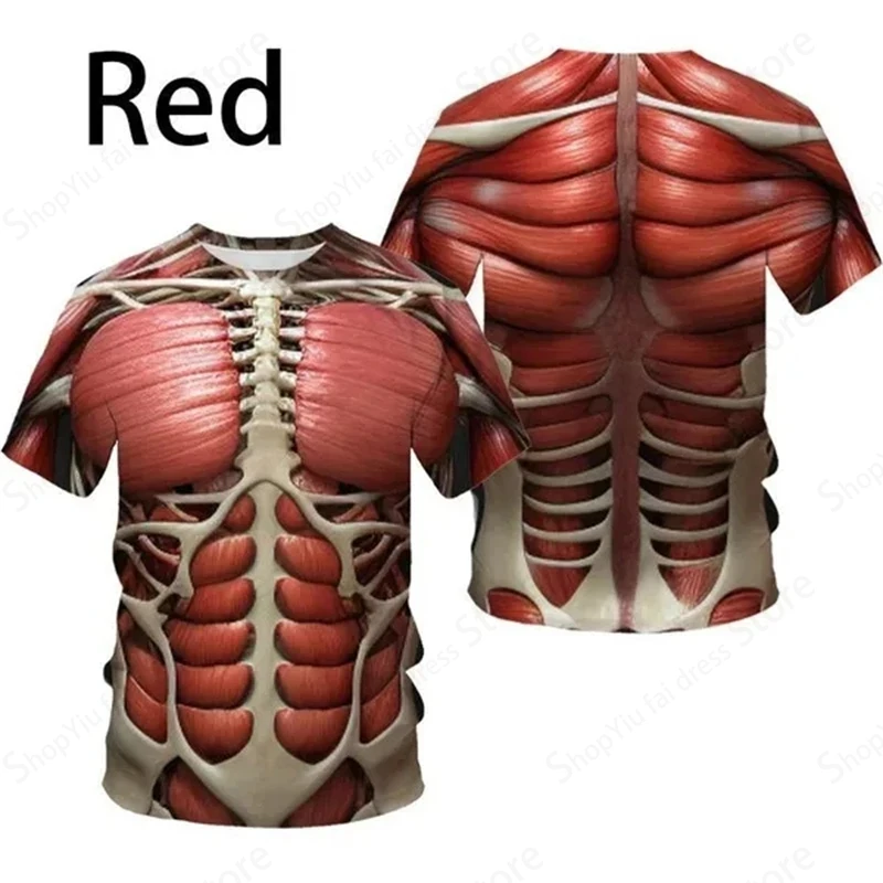 Mens T Shirt 3d Funny Muscle Pattern Print T-shirt Men Women Fashion Short Sleeve T-shirt Kids Hip Hop Tops Tees Skeleton Tshirt